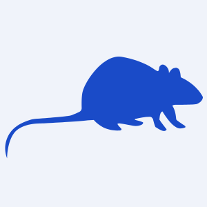 Icone Rat Nuisibles Service