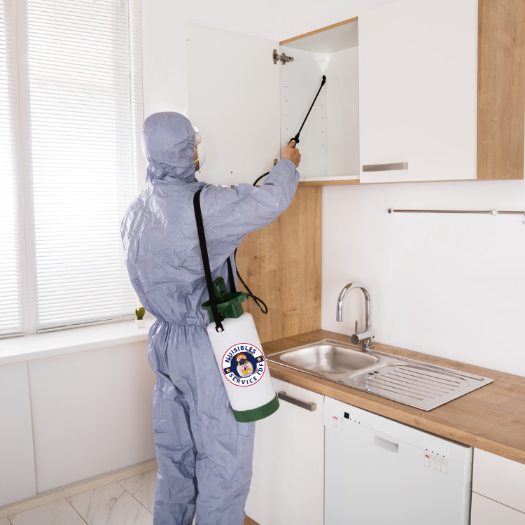 Traitement par un agent B26