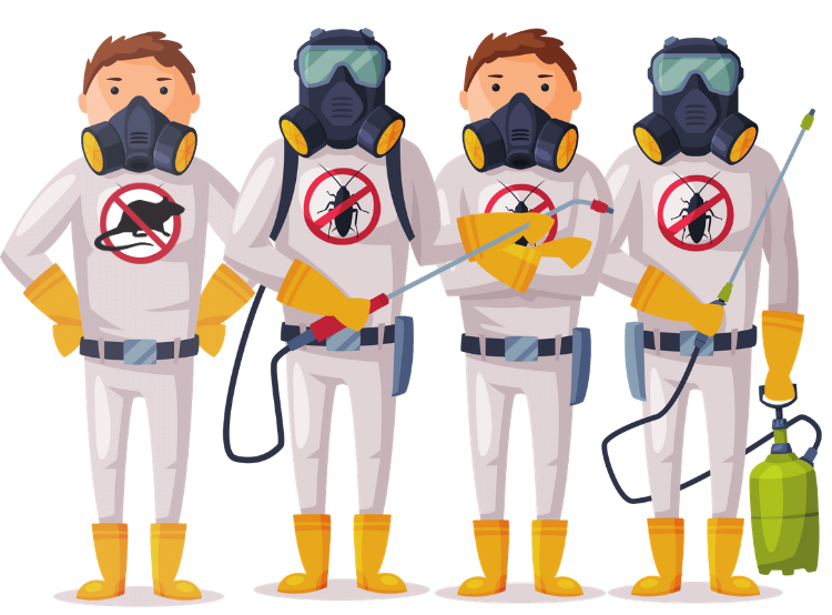 Nuisibles Service IDF