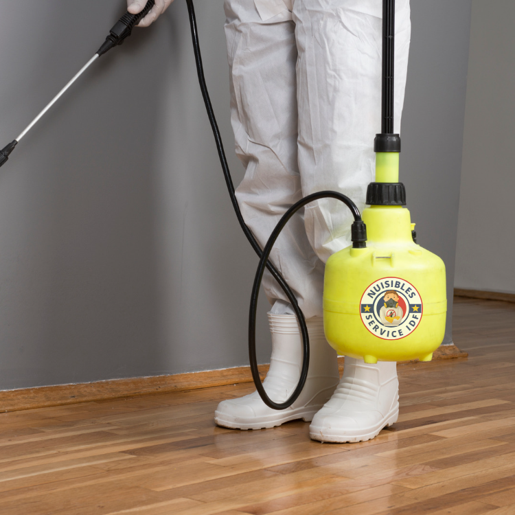 Intervention Cafards