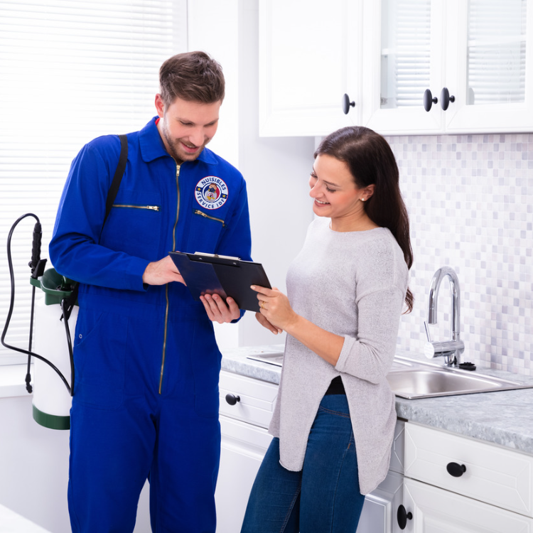 Intervention  Nuisibles Service IDF