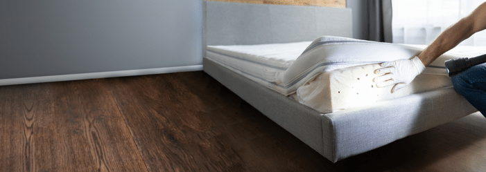 matelas infecté par des punaises de lit